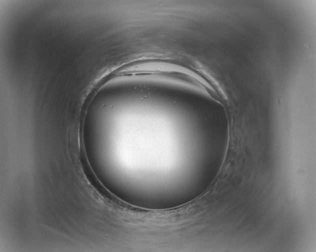 X0000067000011200603241354