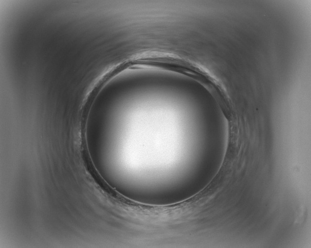 X0000067000015200603241354
