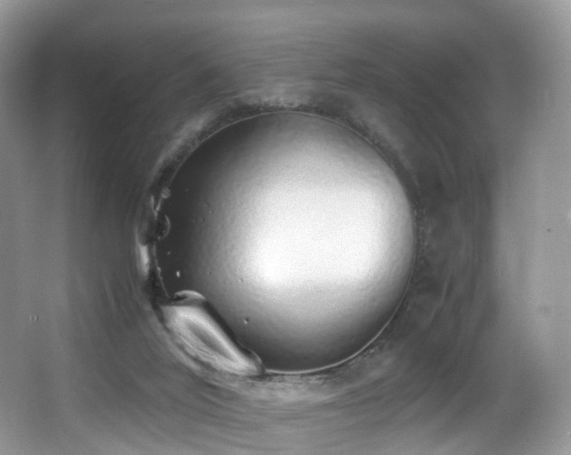 X0000067000020200603241354