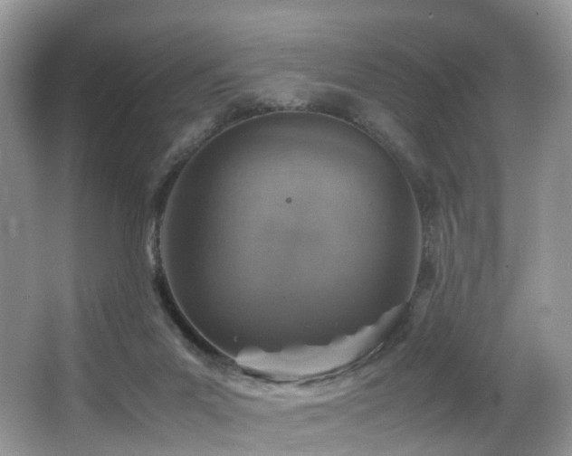 X0000067000023200603241354
