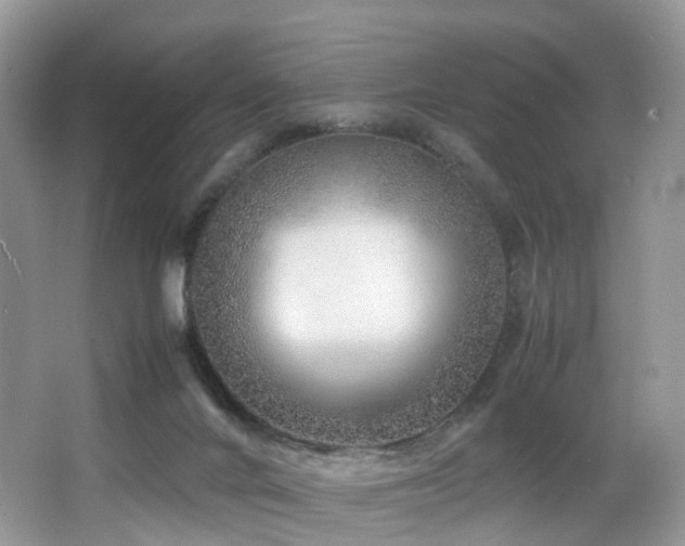X0000067000024200603241354