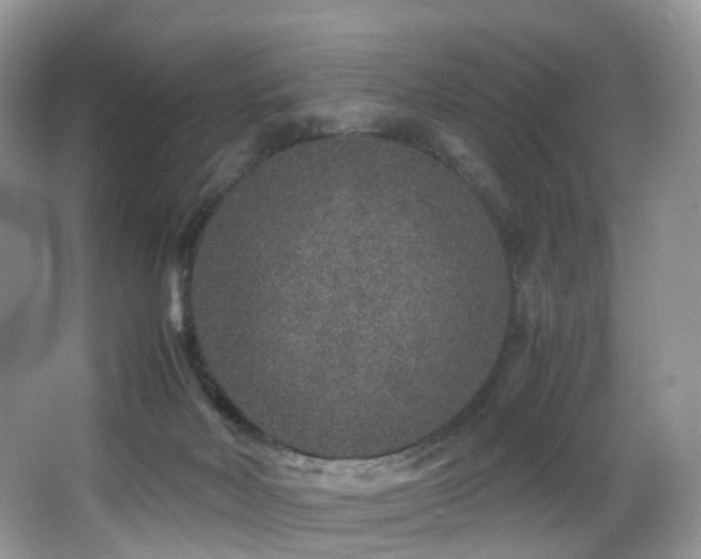 X0000067000026200603241354