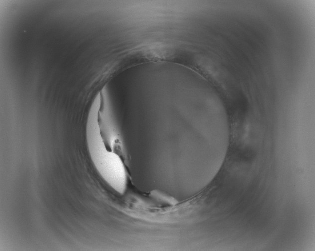 X0000067000027200603241354
