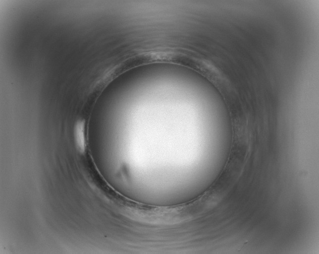 X0000067000028200603241354