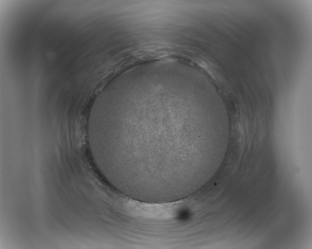 X0000067000030200603241354