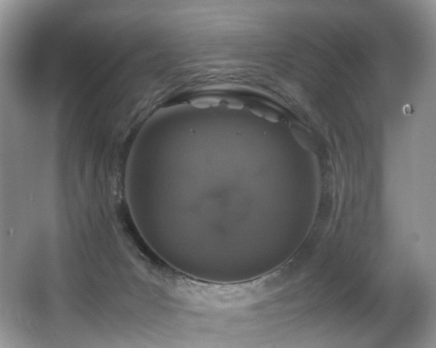 X0000067000031200603241354