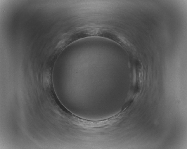 X0000067000035200603241353