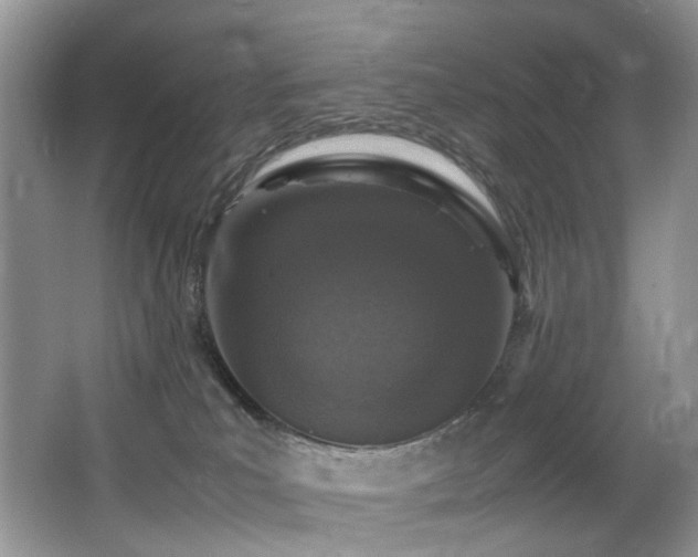 X0000067000039200603241353