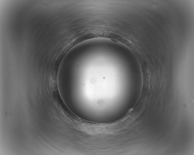 X0000067000040200603241353