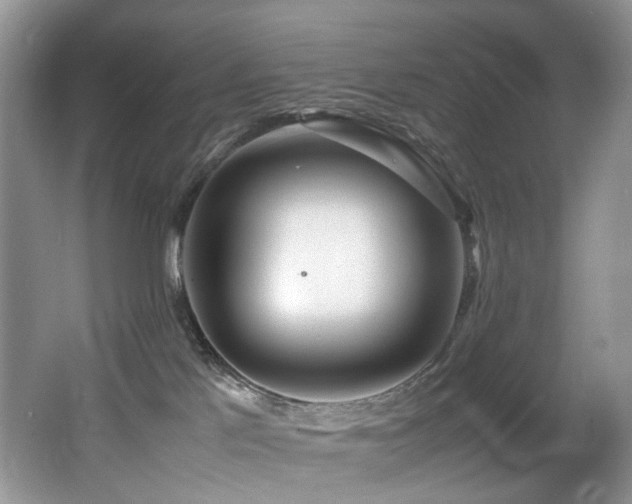 X0000067000041200603241353