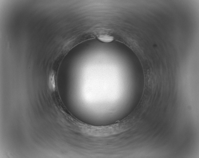 X0000067000042200603241353