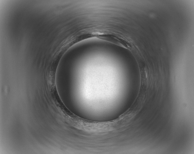 X0000067000044200603241353