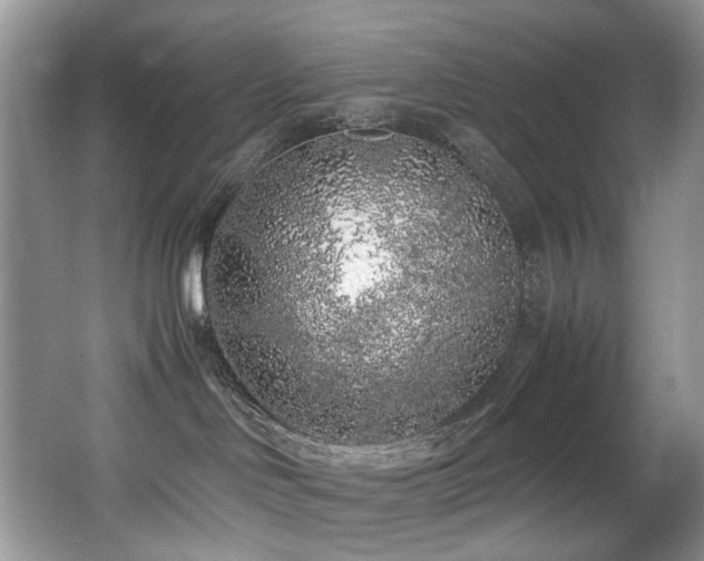 X0000067000046200603241353