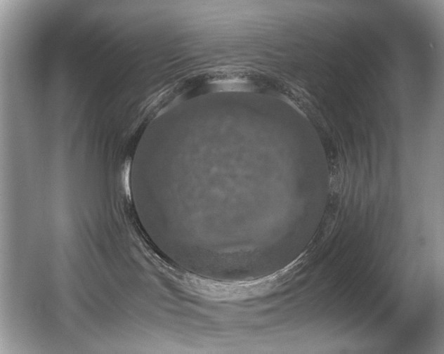 X0000067000047200603241353