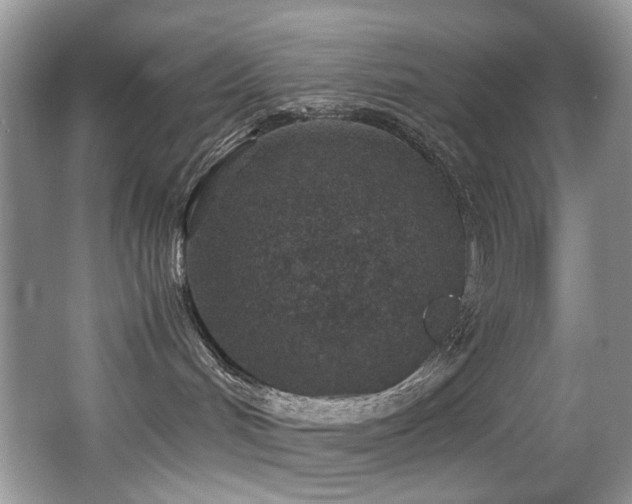 X0000067000048200603241353