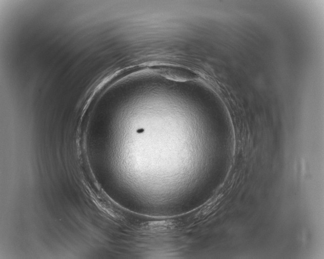 X0000067000050200603241352