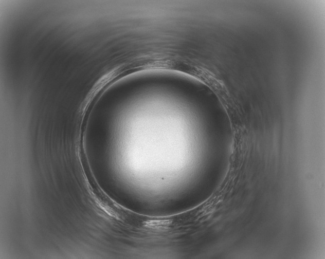 X0000067000051200603241352
