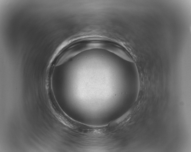 X0000067000056200603241353