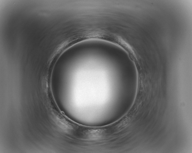 X0000067000059200603241353