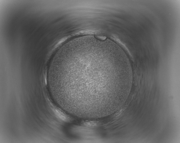 X0000067000062200603241353
