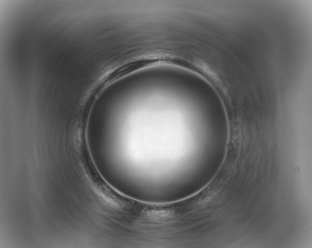 X0000067000063200603241353