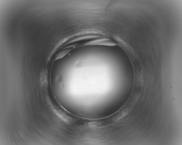 X0000067000064200603241353