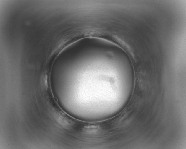 X0000067000067200603241353