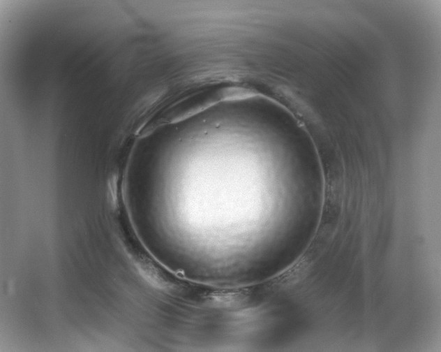 X0000067000070200603241353