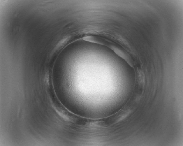 X0000067000072200603241353