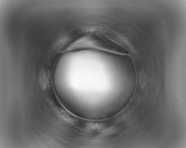 X0000067000073200603241353