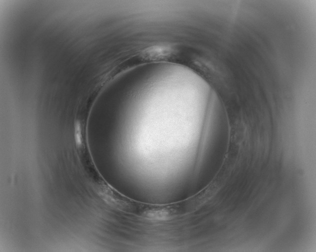 X0000067000075200603241353