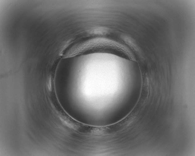 X0000067000076200603241353