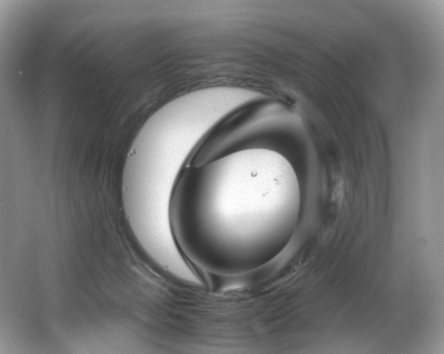 X0000067000077200603241353