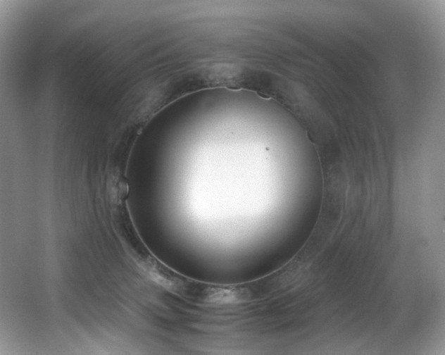 X0000067000083200603241353