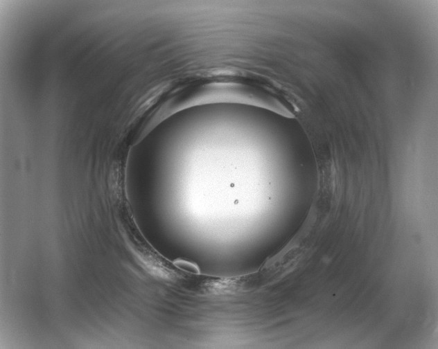 X0000067000092200603241353