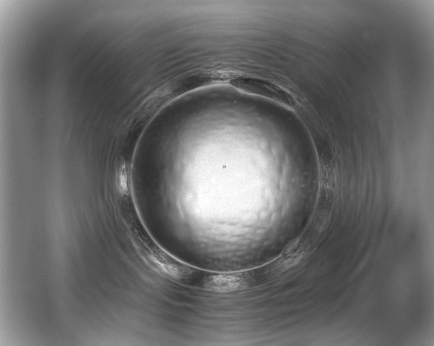 X0000067000095200603241353