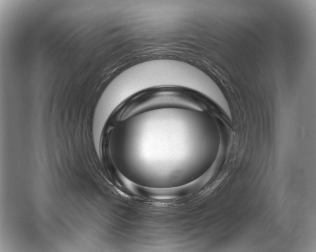 X0000067000096200603241353