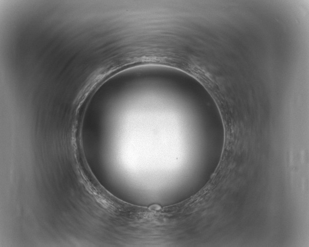 X0000067000098200603241352