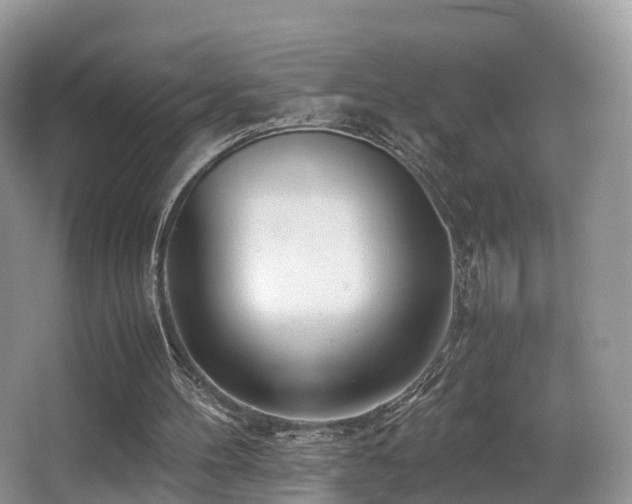X0000067000100200603241352