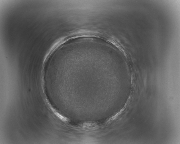 X0000067000101200603241352