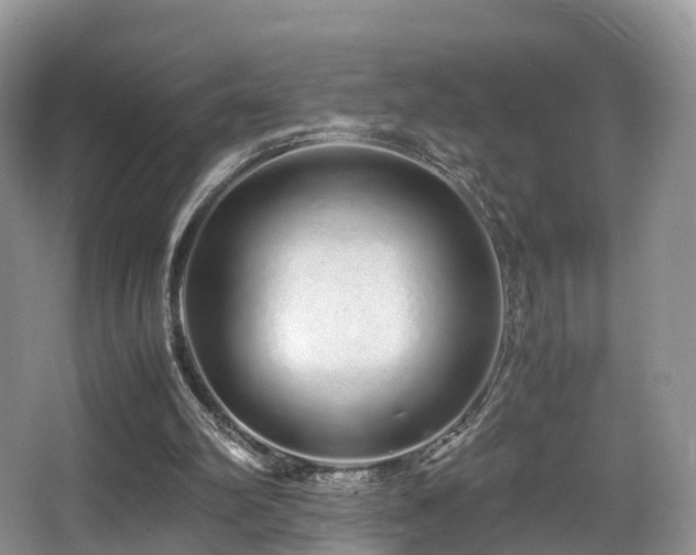 X0000067000102200603241352