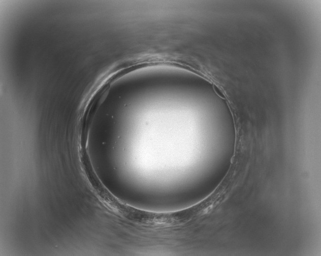 X0000067000103200603241352