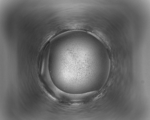 X0000067000105200603241352