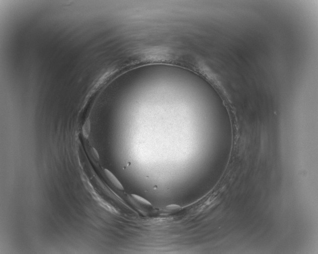 X0000067000106200603241352