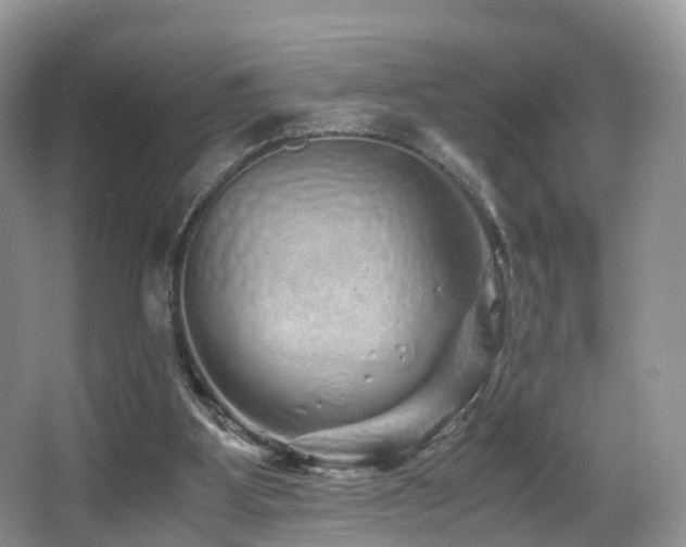 X0000067000107200603241352