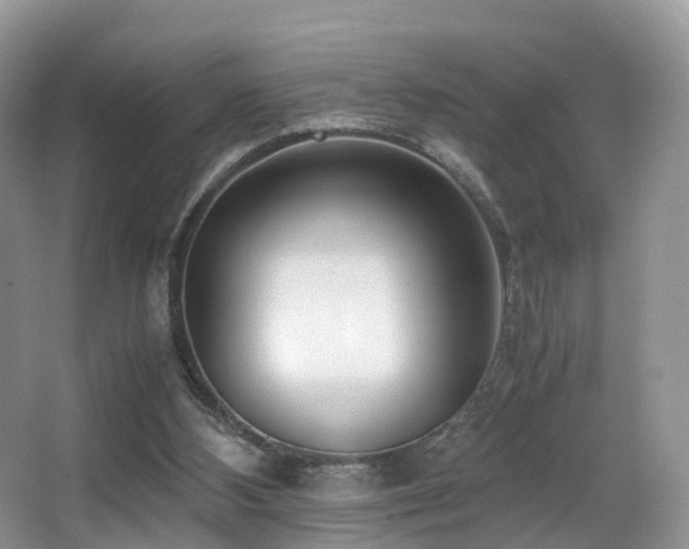 X0000067000108200603241352