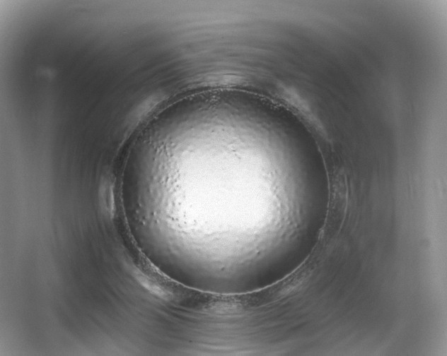 X0000067000110200603241352