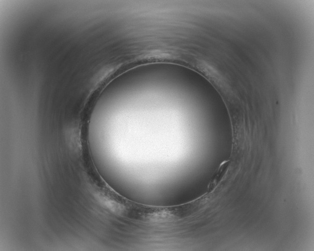 X0000067000112200603241352