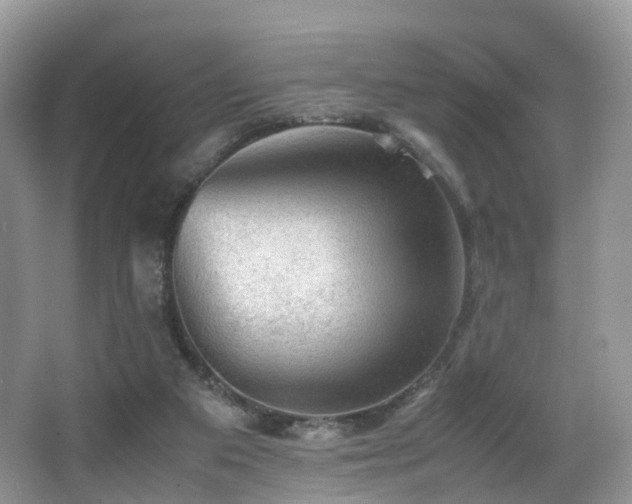 X0000067000113200603241352