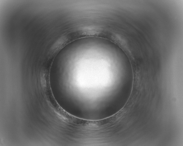 X0000067000114200603241352